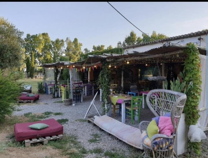 몬탈토디카스트로 Il Piccolo Borgo 아파트 외부 사진